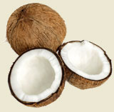 Coconut