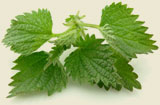 Nettles