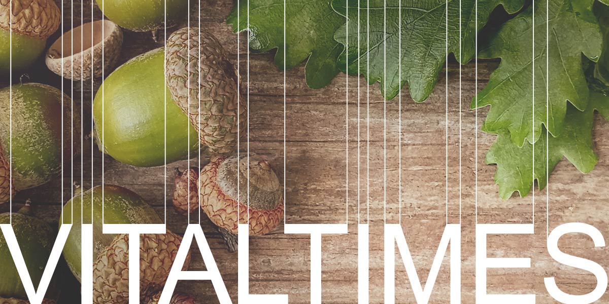 Vital Times Newsletter