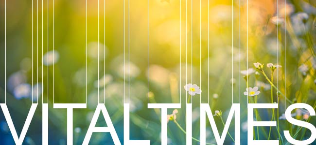 Vital Times Newsletter