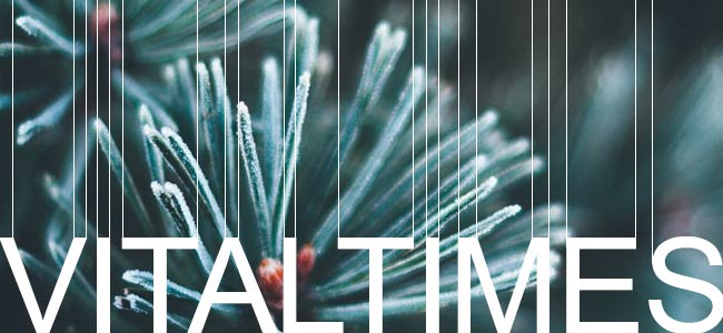 Vital Times Newsletter